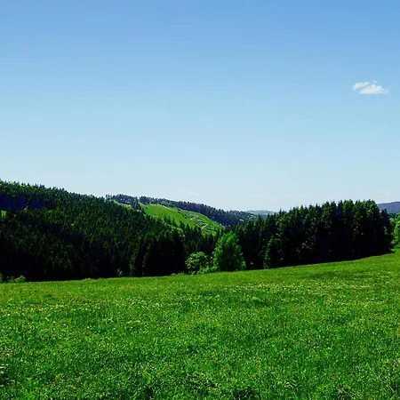 Ferienhauspark Hébergement de vacances Hasselfelde